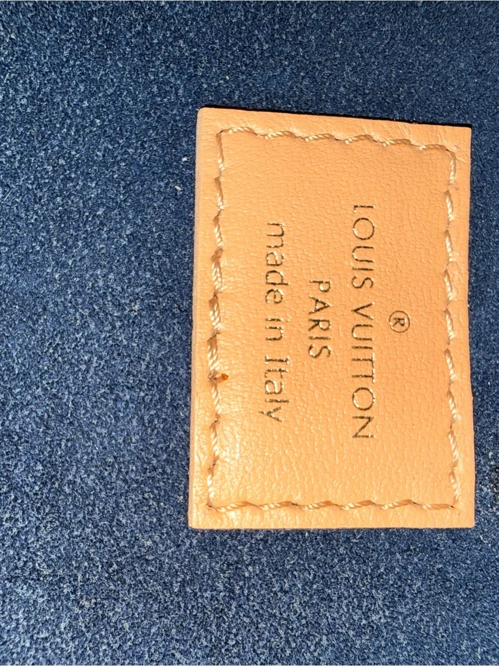 Louis Vuitton Coussin PM
